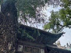 -晋祠公园
