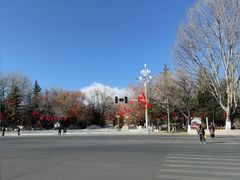 -罗布林卡