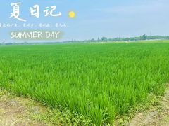 -嘉北郊野公园