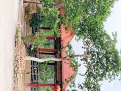 -大地土窑菜馆·特色罗浮农家菜(罗浮山景区店)