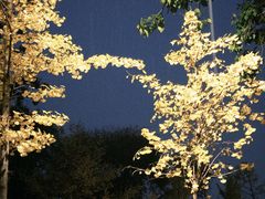 -斯多格书乡(北京大学畅春园店)