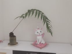 -WENDY·温迪皮肤管理