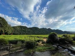 -中国茶叶博物馆(双峰馆区)