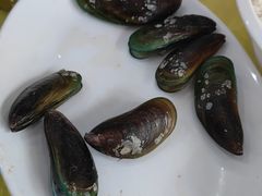 -锐记美食店·现捞海鲜(闸坡店)