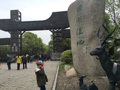 -溱湖国家湿地公园