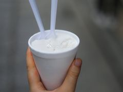 -洪馨椰子
