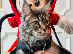 -上海总会SHANGHAICLUB(兴业太古汇店)