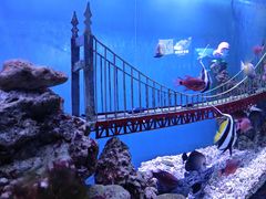 -太平洋海底世界