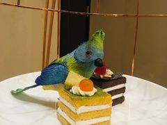 -上海皇廷花园酒店·御宴中餐厅