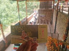 -伏羲山旅游区