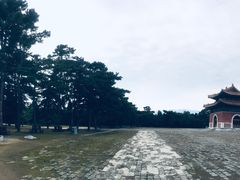 -清东陵