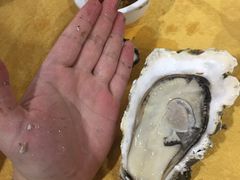 -蚝专家(北滘店)