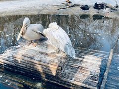 -济南野生动物世界