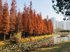 -艾溪湖湿地公园