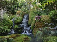 -Chom Cafe and Restaurant