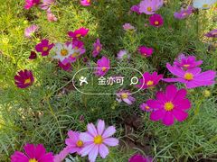 -广州文化公园