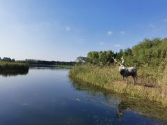 -溱湖国家湿地公园