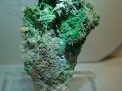 -湖南省地质博物馆