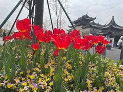 -苏州上方山国家森林公园