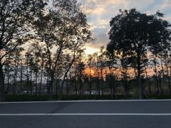 -盐城丹顶鹤湿地生态旅游区