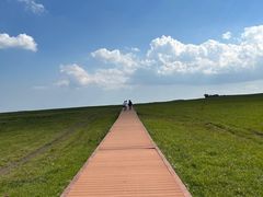 -空中草原