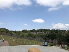 -聚龙山公园