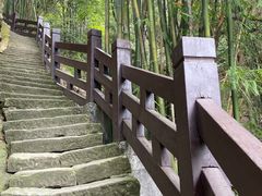 -缙云山景区