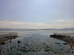 -深圳湾公园(南山区)
