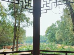 -云岗森林公园