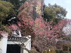 -无锡梅园公园