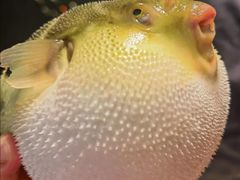 -永安鱼庄·镇江菜(东吴路店)