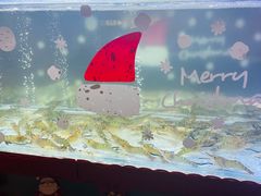 -白仁仔· 活烤海鲜 宵夜(豫园店)