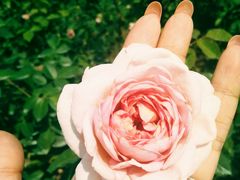 -人民公园(罗湖区)