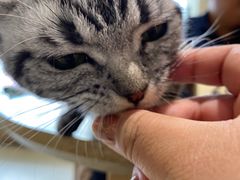 -藏猫猫咖啡主题馆(中央大道店)