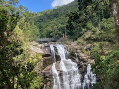 -海南热带雨林国家公园吊罗山景区