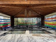 -中家鑫园温泉酒店鑫悦汤泉