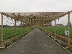 -中国天府农业博览园