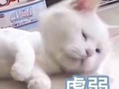 -蒙自源米线大王(普宁广场店)