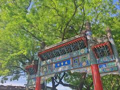 -北京国子监胡同