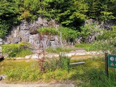 -吴淞炮台湾湿地森林公园烧烤区