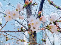 -西北湖绿化广场