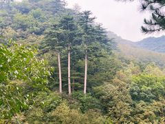 -玉渡山自然风景区