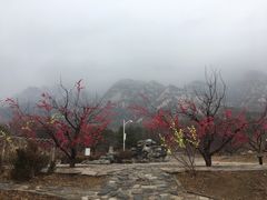 -北京凤凰岭