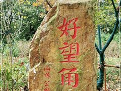 -上海市保健医疗中心