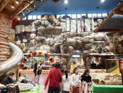 -卡通尼·Safari非洲探索乐园·生日会(金桥国际商业广场店)