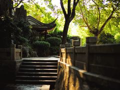 -白沙古井