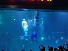 -福州罗源湾海洋世界旅游区