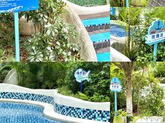 -清泉湾生态旅游度假区