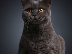 -方快-照相馆(中原大润发店)