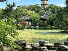 -江心屿景区